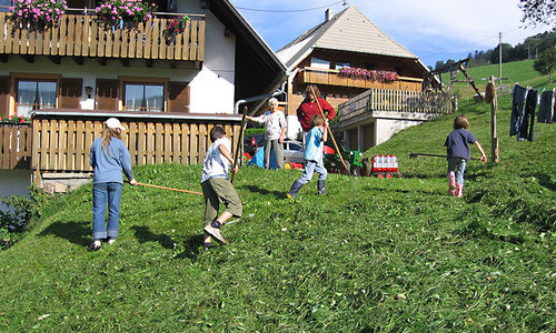 Harzlochhof Münstertal (Münstertal)