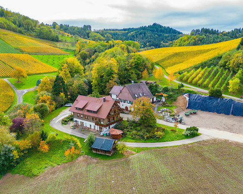 Weinbau Huber (Oberkirch) Weinbau Huber (Oberkirch)