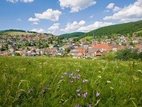 Stadtansicht Vöhrenbach (Bildnachweis: Tourist-Info Vöhrenbach )