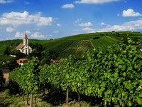 Auggen (Bildnachweis: Mit freundlicher Genehmigung der Touristikinformation Auggen / Winzerkeller Auggener Sch�f)