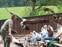 (Bildnachweis: Vogelpark-Steinen) (Bildnachweis: Vogelpark-Steinen)