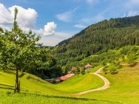 Schwarzw�lder Wandersinfonie Schwarzwaldsteig (Bildnachweis: � KTG Foto: Elke Bitzer)