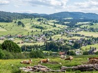 (Bildnachweis: Mit freundlicher Genehmigung Tourist Information Bernau) (Bildnachweis: Mit freundlicher Genehmigung Tourist Information Bernau)