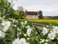 (Bildnachweis: Mit freundlicher Genehmigung der Stadt Neuenburg am Rhein) (Bildnachweis: Mit freundlicher Genehmigung der Stadt Neuenburg am Rhein)