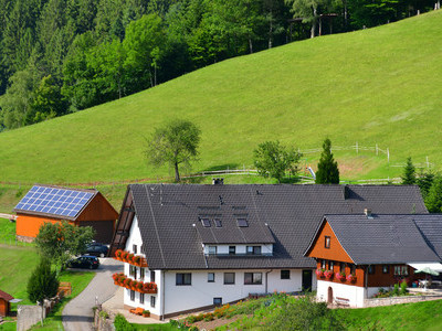 Bauernhöfe im Schwarzwald