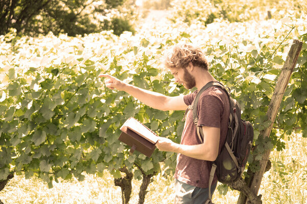 Eduardo & das Weingeheimnis Bildnachweis: Mit freundlicher Genehmigung von Berggeheimnis
