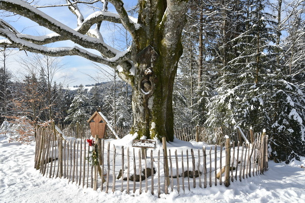 Balzer Herrgott in Furtwangen im Winter Bildnachweis: © Hochschwarzwald Tourismus GmbH