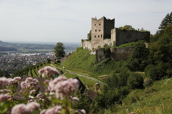 Schauenburg Bildnachweis: © Renchtal Tourismus GmbH