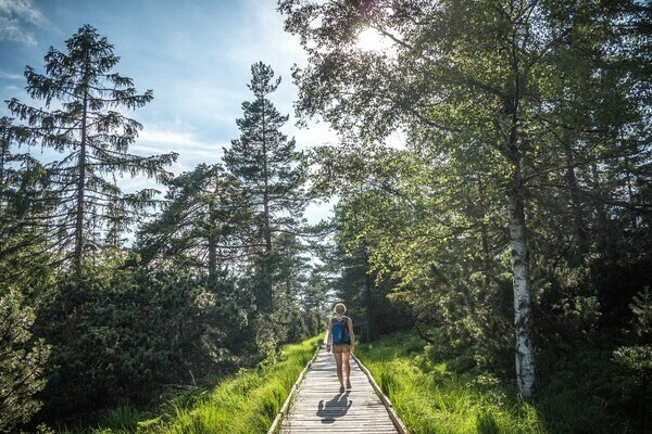 Wildsee Kaltenbronn Bildnachweis: Tourismus GmBh Nördlicher Schwarzwald, Alex Kijak