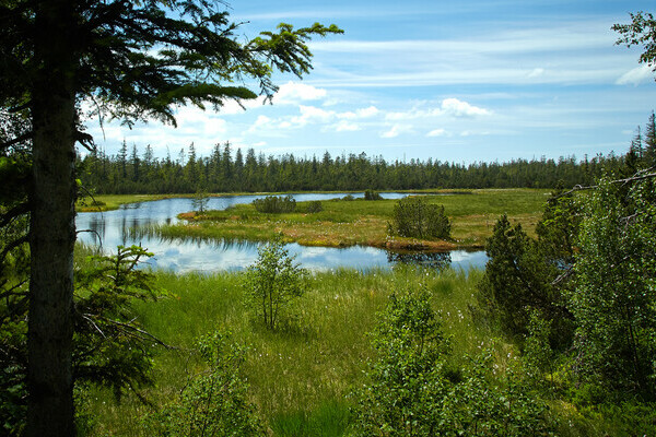 Wildsee Bildnachweis: Tourismus GmbH Nördlicher Schwarzwald